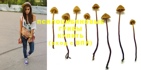 амф Снежногорск