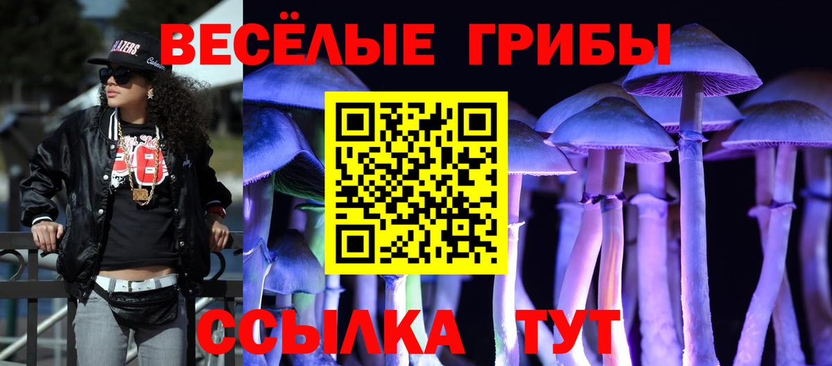 Галлюциногенные грибы Psilocybe  Вход с VPN  Звенигород 